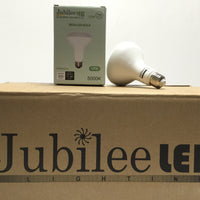 12W JUBILEE LED BR30 BULB (Box of 36)